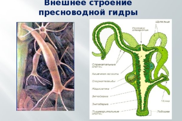 Кракен вход