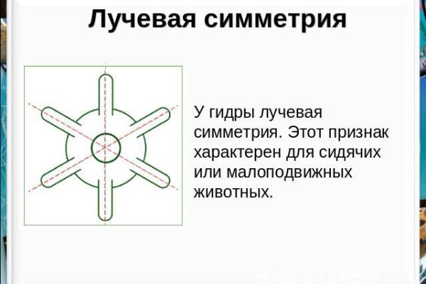 Kra49.cc Вход на сайт главная страница