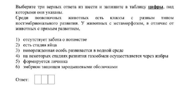 Не могу зайти на сайт кракен