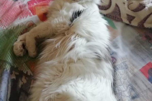 Кракен вход официальная ссылка