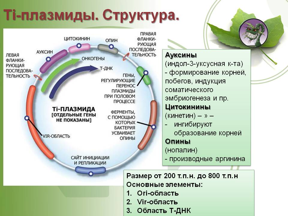 Кракен 15at