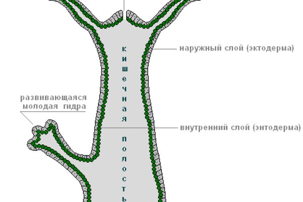 Kra43.at