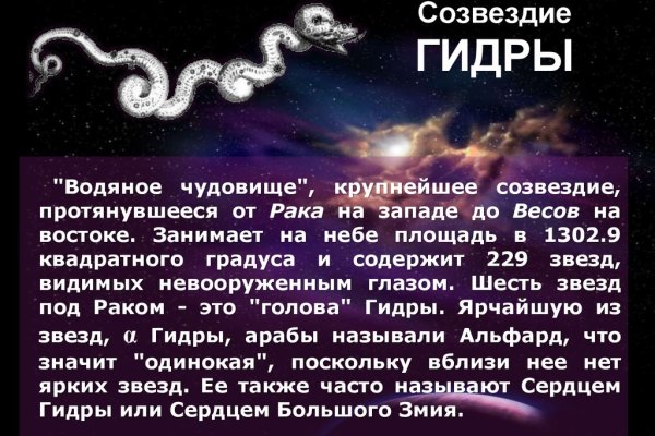 Kraken даркнет что это