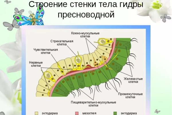 Кракен сайт работает