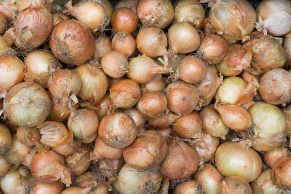 Сайт кракен официальный ссылка onion