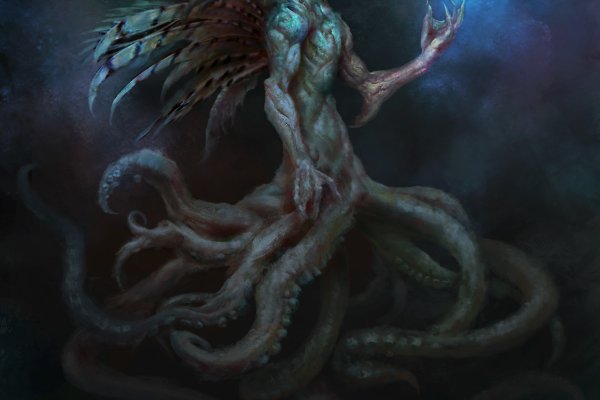 Kraken 24 top