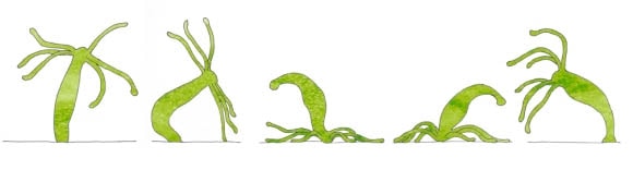 Kraken вход kraken torion