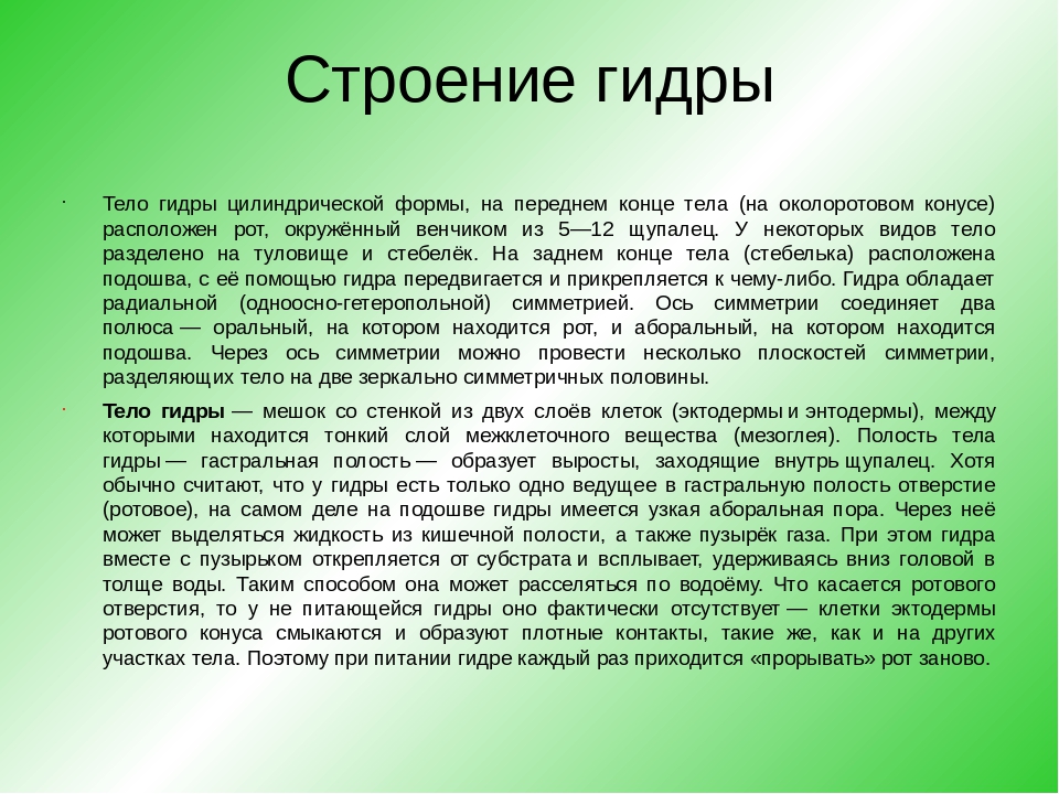 Как попасть на кракен с айфона